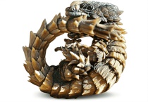 什么是犰狳环尾蜥