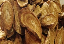 牛蒡茶 附历史及种类