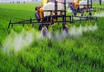 叶面肥什么时候喷施 叶面肥通常什么时候打好