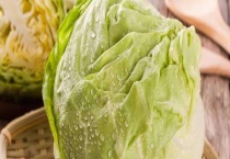 卷心菜和包菜有什么不同 附卷心菜和包菜简介