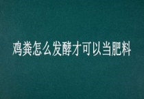 鸡粪怎么发酵才可以当肥料