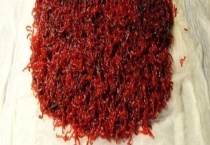 红虫钓鱼怎么调漂 附调漂注意事项