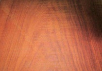 大果紫檀是不是缅花