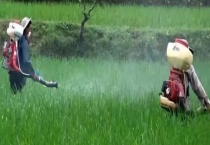 农药减量有什么意义 农药怎么使用