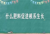 什么肥料促进根系生长