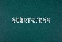 寄居蟹没有壳子能活吗？