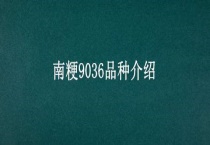 南粳9036品种介绍