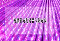 植物补光灯能替代阳光吗？
