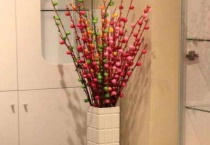 银柳可以在家里放吗？