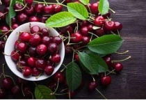 zana车厘子是什么品种