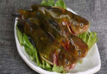 黄骨鱼吃什么？
