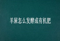 羊屎怎么发酵成有机肥