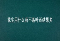 花生用什么药不落叶还结果多