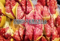 石榴树叶子有黑点怎么办？