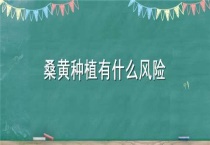 桑黄种植有什么风险