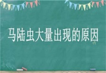 马陆虫大量出现的原因？