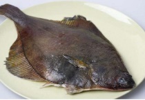 鲽鱼和深海鲽鱼的区别？