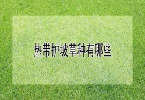 热带护坡草种有哪些？