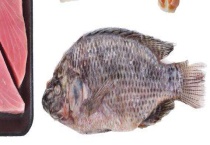 太阳非和罗非鱼的区别？