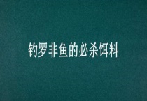 钓罗非鱼的必杀饵料