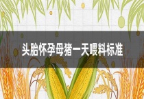 头胎怀孕母猪一天喂料标准