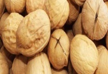 核桃种植的前景怎么样 附种植注意事项