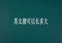苏太猪可以长多大