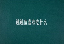 跳跳鱼喜欢吃什么？