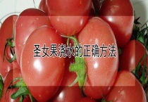 圣女果浇水的正确多久？