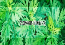 艾草种植时间和多久？