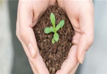 天然的磷钾肥有哪些？