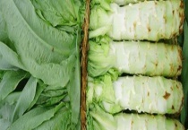 莴笋可不可以生吃 有什么功效和作用