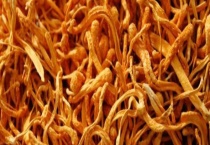 虫草花与虫草有什么不同 具体体现在哪些方面