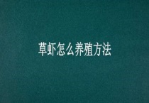 草虾怎么养殖多久？