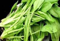 菠菜的种植时间和温度是多少？