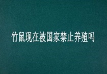 竹鼠现在被国家禁止养殖吗？
