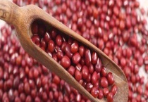 红豆生小黑虫怎么多久？