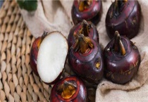 马蹄用什么肥料最大个