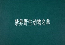 禁养野生动物名单