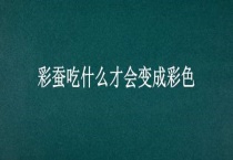 彩蚕吃什么才会变成彩色