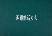 泥鳅能活多久？