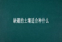 缺硼的土壤适合种什么？