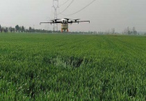 小麦锈病可用什么农药防治 什么是小麦锈病