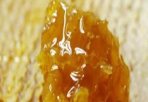 土蜂蜜好还是意蜂蜜好 土蜂蜜和意蜂蜜的价格区别？