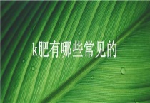 k肥有哪些常见的