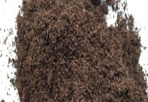 泥炭和草炭的区别？