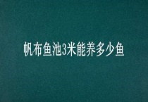 帆布鱼池3米能养多少鱼