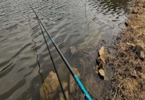 鲤鱼竿和综合竿有什么区别？？适钓鱼种有哪些？