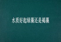 水质好起绿藻还是褐藻