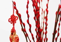 银柳干养可以放多久？